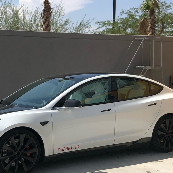 Meet your Posher, Ava - Picture 1 of 1